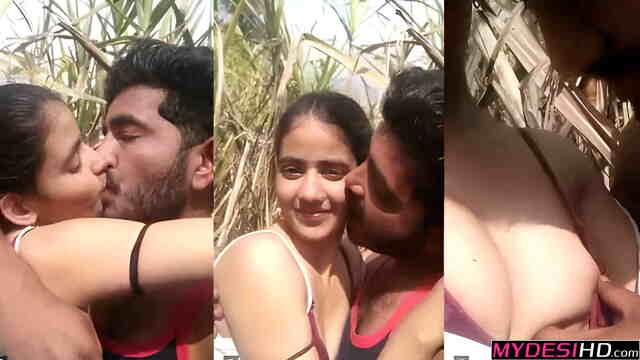 Indian Desi Village Local XXX: Viral Kissing & Romantic Clips
